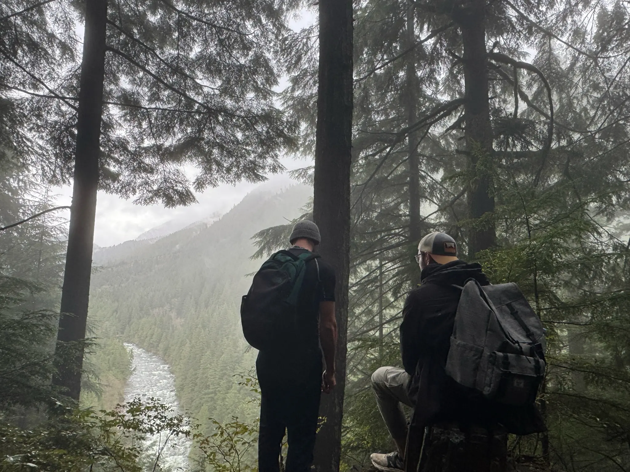 Scaling the Golden Ears Park in BC represents climbing Shopify SEO rankings