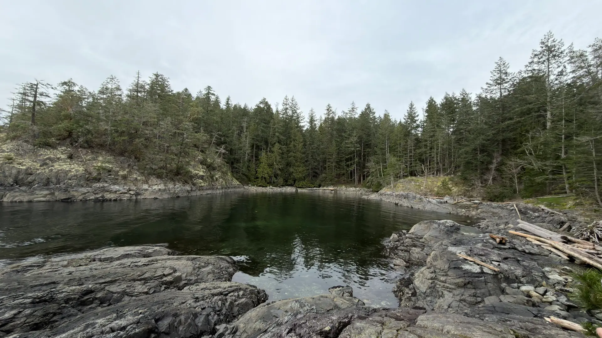 Vancouver Reputation Monitoring Service